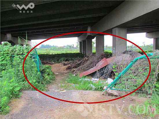 公路護欄網被人為剪開.jpg 公路護欄網被人為剪開.jpg