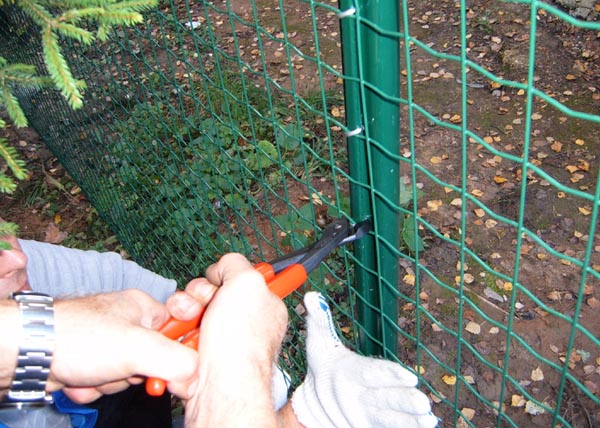 南京護(hù)欄網(wǎng) 南京護(hù)欄網(wǎng)