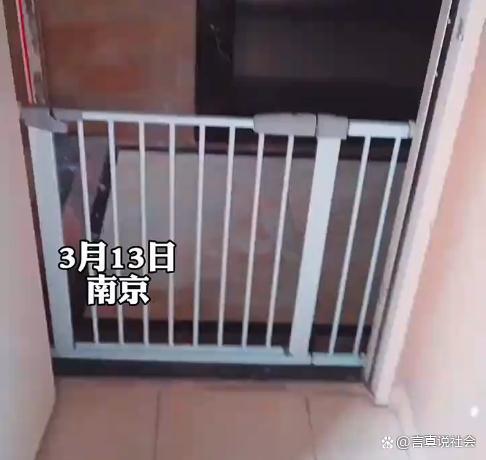 護欄網(wǎng)價格 護欄網(wǎng)價格