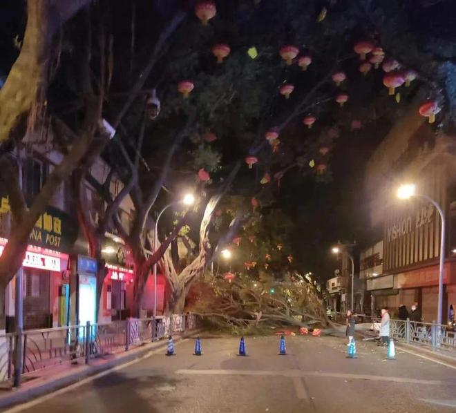 道路護(hù)欄網(wǎng)價(jià)格 道路護(hù)欄網(wǎng)價(jià)格