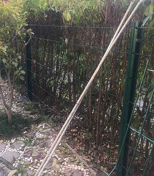 �������o(h��)�ھW(w��ng)�r��